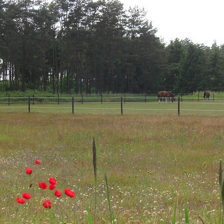 Aengshyddan B&B Yngsjö Kültér fotó