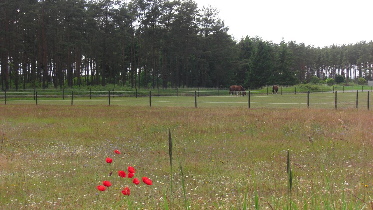 Aengshyddan B&B Yngsjö Kültér fotó